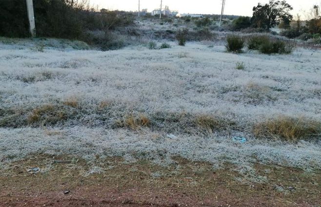 Heladas en el campo. Foto: archivo Subrayado.