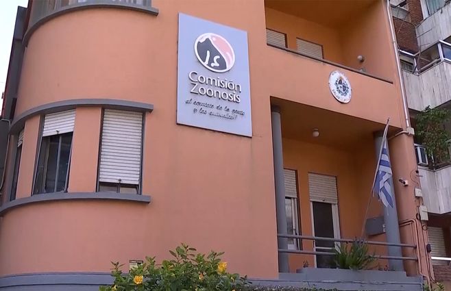 comision-zoonosis-edificio-archivo.jpg