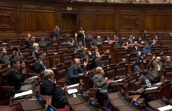 Diputados-votan-foto-bien-agosto-2019.jpg