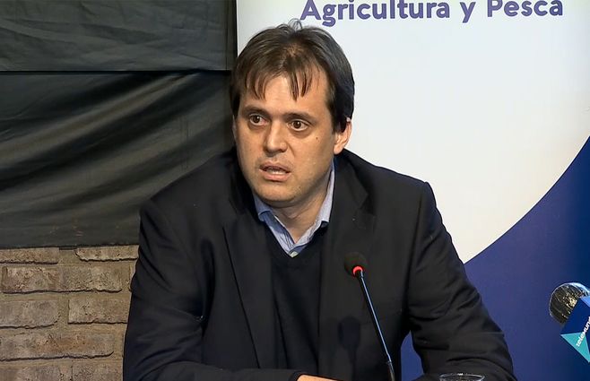 Foto: Nicol&aacute;s Chiesa.