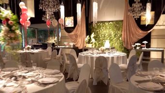 protocolo para fiestas:  empresas de eventos piden levantar medidas restrictivas