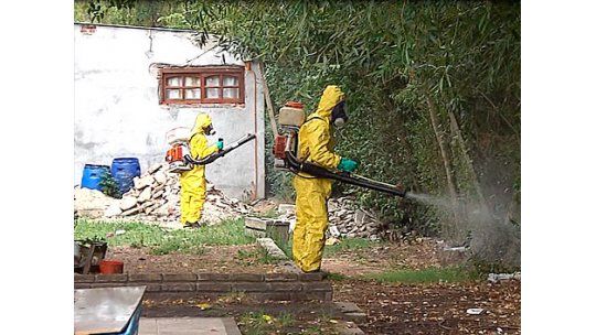 IM comenzó relevamiento para detectar presencia de Aedes Aegipty