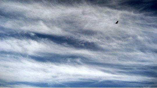 nube