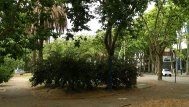 Foto: Subrayado.