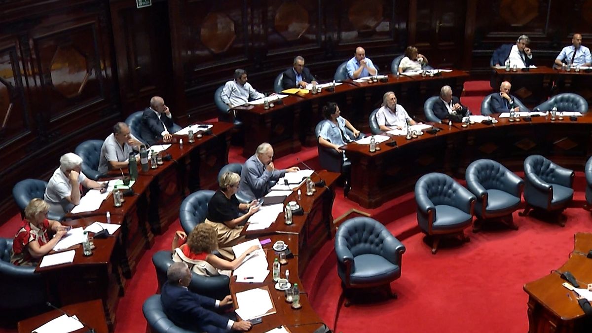 Senado aprobó cambios a la ley que fija el procedimiento para poner los apellidos a los hijos y su orden