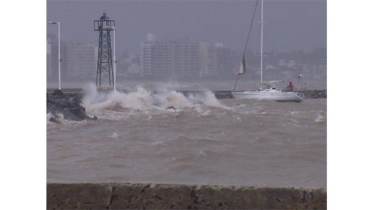 Alerta amarilla por vientos fuertes y probables tormentas