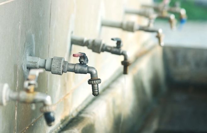 OSE-CANILLAS-AGUA.jpg