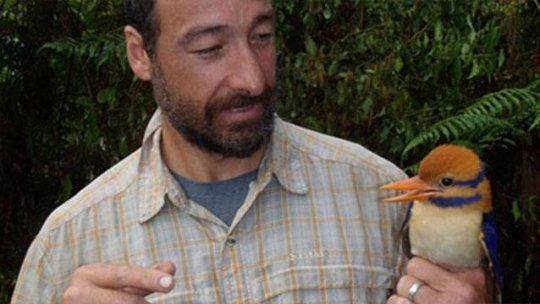 cientifico pajaro carpintero