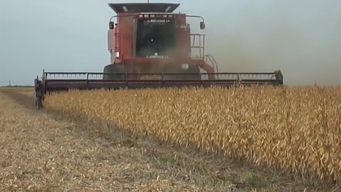 presidente de la federacion rural senala un impacto importante en los costos de la cosecha por aumento del gasoil