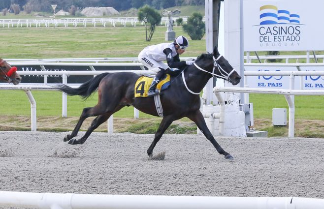 Fitzgerald julio 2019 (1).jpg