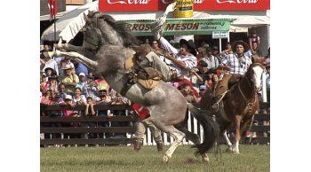 A pura jineteada quedaron inauguradas las criollas
