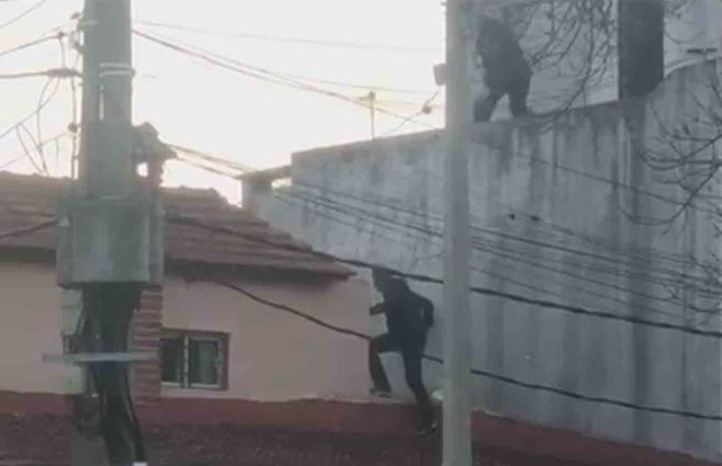 policia-buceo.jpg