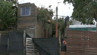 Flor de Maroñas: un árbol cayó sobe dos casas y dejó a cuatro personas atrapadas entre los escombros. Foto: Subrayado.