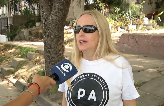 plataforma-animalista-muerte-animales-pirotecnia