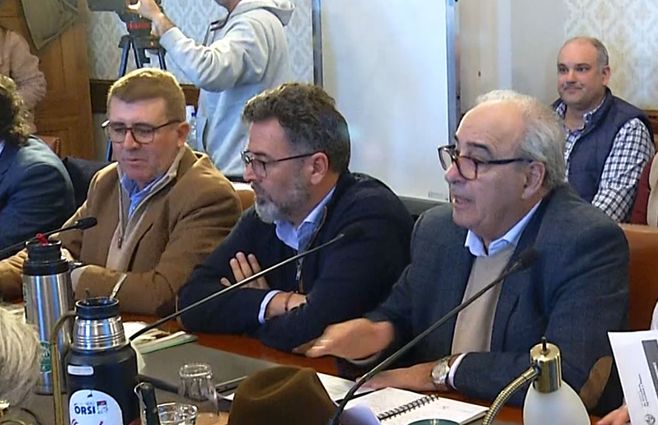 Eduardo Viera, Matías Carámbula y Alfredo Fratti en la Comisión del Senado.&nbsp;