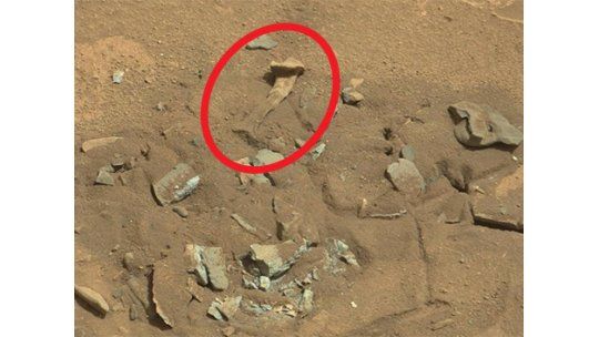 Un “hueso marciano” obligó a la NASA a dar explicaciones