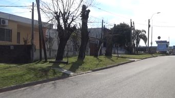 un joven de 26 anos mato a su madre de varias punaladas en pando; fue detenido