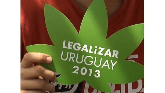 Regulación del cannabis: en el FA no saben qué hará Darío Pérez