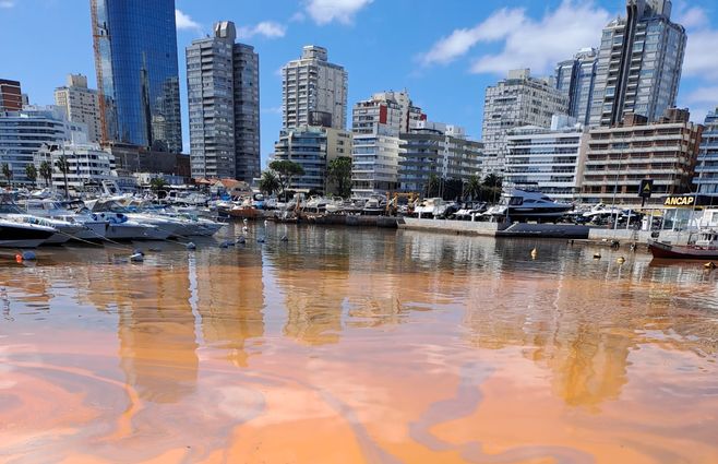 PHOTO-2025-04-05-14-47-09 (2).jpg