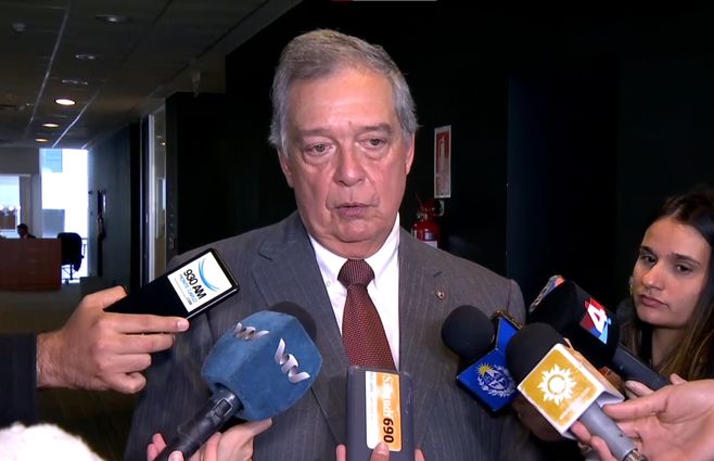 ministro-mattos-mono-titi.jpg
