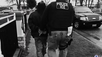 nos sentiamos como animales, nos decian perros: la experiencia de un uruguayo deportado por trump