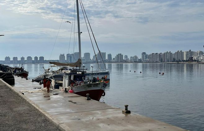 WhatsApp Image 2022-06-26 at 9.31.39 AM (2).jpeg