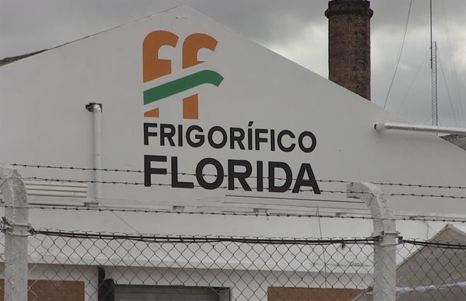 frigorifico-florida.jpg