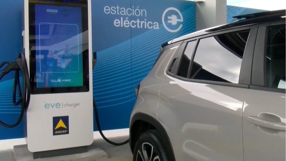Unión de Vendedores de Nafta reclama más medidas del gobierno; pide revisión de incentivos para compras de autos eléctricos