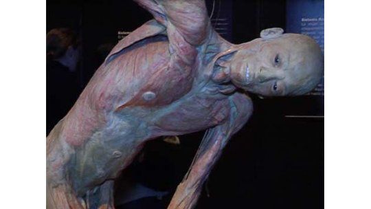 Gobierno quitó declaración de interés a exposición de cuerpos
