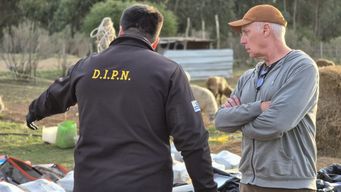 negro definio como historica la incautacion de mas de 2 toneladas de cocaina en punta espinillo
