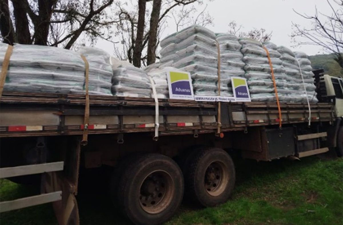 Incautaron 12.000 kilos de ración animal de contrabando ingresados en un camión desde Brasil