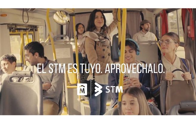 campaña-stm.jpg