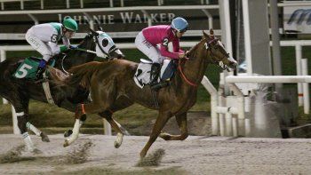 Subrayado | 11 MICRO TURF 16 D JUL