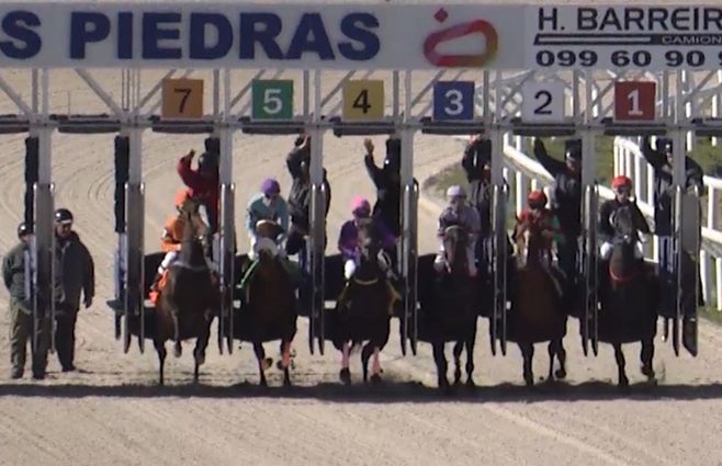 turf-hipodromo-las-piedras.jpg