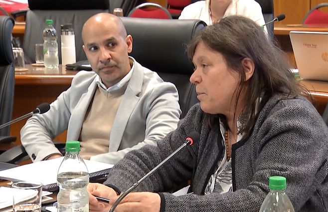 Mónica Ferrero en el Parlamento