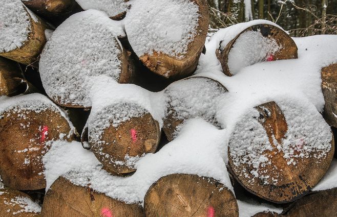 nieve-madera-leña.jpg