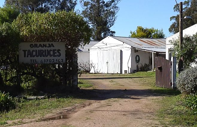 granja-salinas-homicidio.jpg