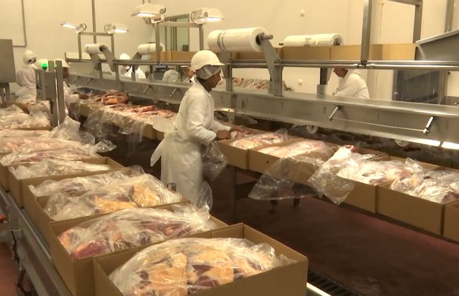frigorifico-carne-exportacion-trabajadores.jpg