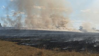 intenso humo por incendio de campo causo choque entre dos vehiculos en ruta 14, rocha