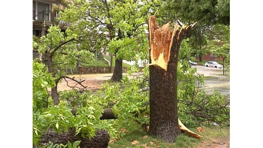 Volaron techos, árboles y carteles por el temporal