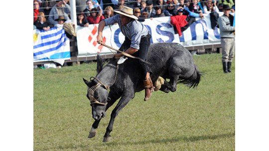 Veterinario controla que no haya maltrato animal en jineteadas