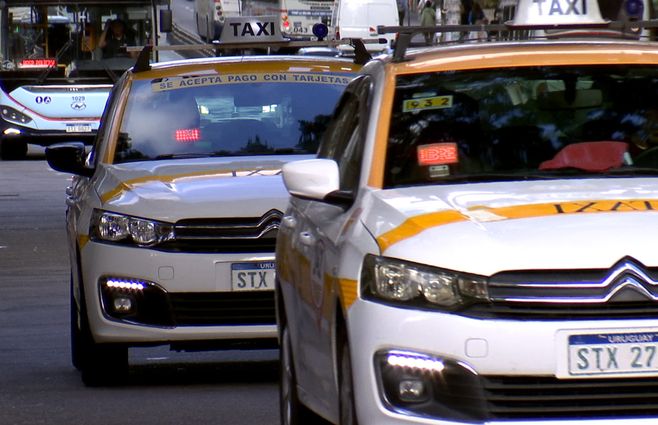 taxis-generica-y-omnibus-cutcsa-transporte