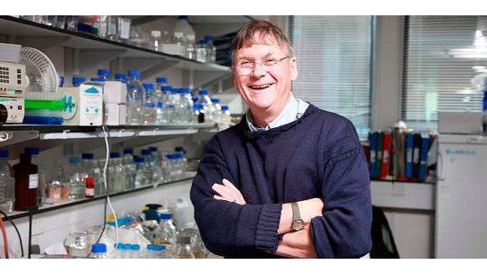 tim hunt