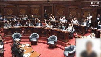 parlamento acordo conformar una comision bicameral especial en la asamblea general por cardama
