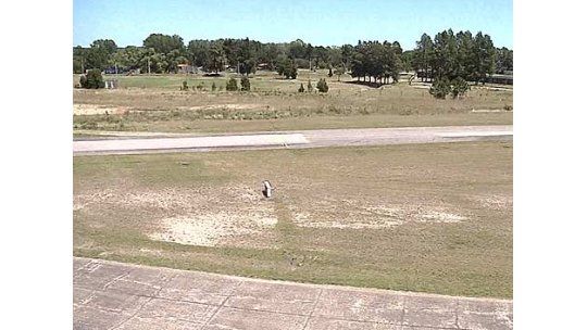 Nueva carta aérea permitirá identificar pistas clandestinas