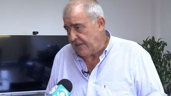 director de servicios ganaderos: 60% de casos de encefalitis equina puede recuperarse si se trata a tiempo