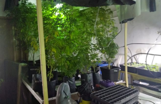 Fotos operación maléfica.jpg