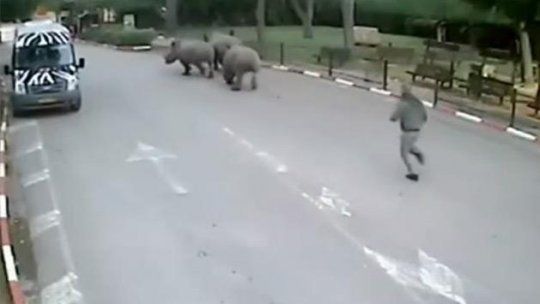 zoo