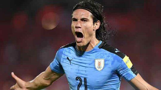 cavani