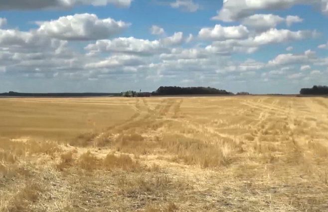 sequía-en-Río-Negro